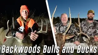 Backwoods Bulls and Bucks | Dream Makers S6 E3