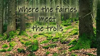 Into the Bavarian woods | I don't have time to rush