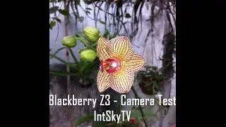 Blackberry Z3 Camera Test