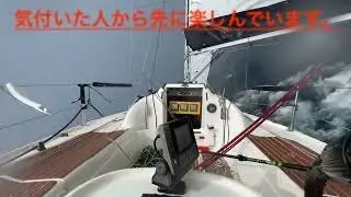 【見ごたえ有り】嵐の中のセーリング