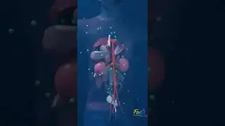 @MSKaFacts&sup1;..How Snake Bite Kills You #factshorts tsvideo#shortvideo
