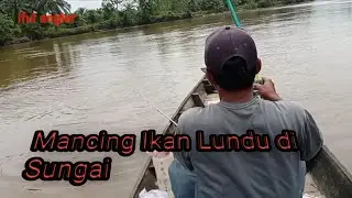 Mancing Ikan Lundu Di Sungai