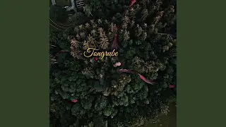 Tongrube