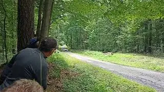 Barum Czech rally Zl&iacute;n 2021| Simon Wagner | Big action&flatout| rz Pindula