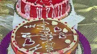 بدأت قناة 
