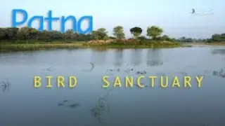 Birding in Patna Bird Sanctuary, UP
