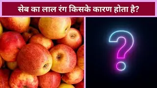 What causes the red color of apples? | Apple Red Color Science Explained in Hindi