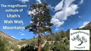 Magnificent Solitude of Utah's Wah Wah Mountains