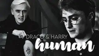 Draco & Harry | 