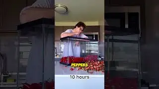 This Man Eats aquarium full of chili peppers🥵🌶