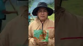 #InfoComercial | 🌿&iquest;Sab&iacute;as qu&eacute; existe una preparaci&oacute;n natural que no afecta el suelo? 🧑🏻&zwj;🌾🌳