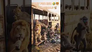 Jungle ke Sabse Crazy Dost 🦁🐒🐷🦡#SherFamily#aur#Friendski #FunnyParty😂🔥#AI3D#Animals #Shorts#viral