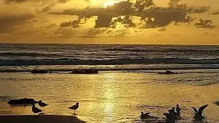 Amazing Sunset Beach View at 42&deg;C | Perth Western Australia