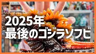 2025年最後に買ったゴジラソフビ紹介します！そして視聴者さんからもらったソフビも開けてみました！