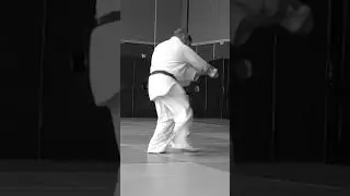 Shomen tsuki hijiate kokyu nage (Ni) 正面突き自由技 #shorts #training #short #kiyokan #aikidoforfun #aikido