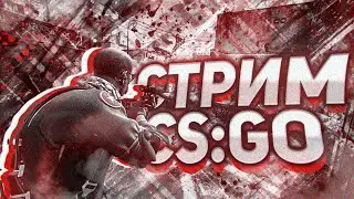 🎮Stream № 31 Возвращение в CS:GO I Апаем рейтинг🎮