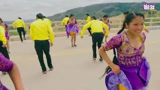 PANDILLA SOL DE ORO (carnavales) 2024 STUDIOS IDEAS