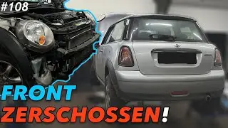 Wildunfall mit versteckten Sch&auml;den (Mehr&Teurer als gedacht!☹️💰)