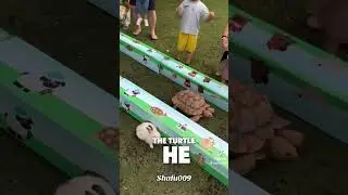 The Turtle Beat the Rabbit🐢🏁 Here&rsquo;s Why#shorts