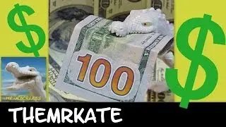How much money does TheMrKate make on YouTube 2014