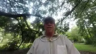 Mr  Ed and his free bees