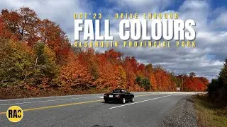 Fall Colours | Drive Through | Algonquin Provincial Park | Ontario | Canada