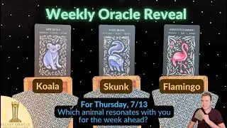 Weekly Oracle Reveal 🔮✨| Tarot Reading for July 13 to July 19 | Elliot Oracle 🐨 🦨 🦩