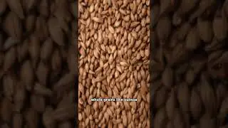 That is why Whole Grains improves your BRAIN POWER