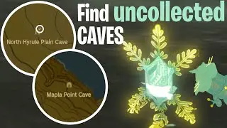 Locate BubbulFrog Caves with uncollected Bubbul Gems - TOTK