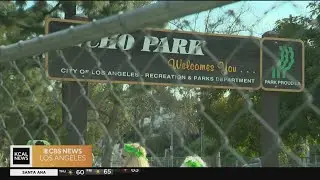 The Brief: Echo Park fencing debate