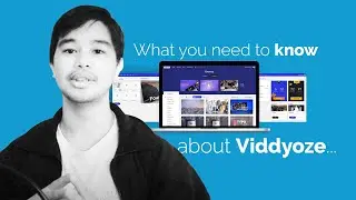 Viddyoze 2020 Review - What they are not telling you...