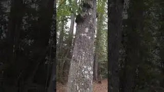 How to make any bird feeder squirrel proof!