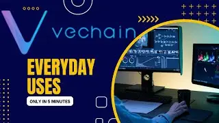 VeChain: Real World Use Cases