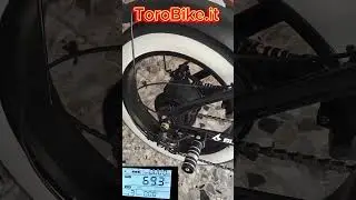 #new#exclusive#top#trash# bikes#elettrica#toro