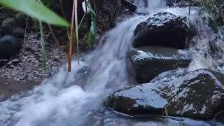 Relaxation: Brain Therapy from the Sound of Splashing Water, Difficulty Focusing, and As a Lullaby