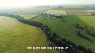 Silage Fields on Washington Dairy Farms