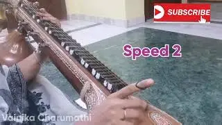 How to play Sarali Swaras with Thalam | Vainika Charumathi