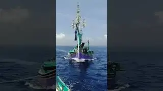 Perahu nelayan muncar di geret ke pelabuhan pengambengan Bali #short