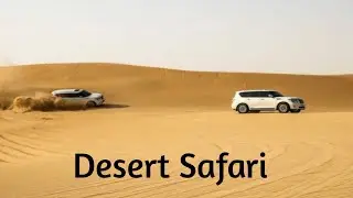 Desert Safari Dubai//Sand Bashing//Belly Dance//Camel Riding//BBQ Dinner