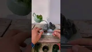 Diy floating teapot & succulent plants