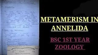 Metamerism in annelida bsc 1st year zoology #zoology #bsczoology #vbu #bbmku #skmu #zoologynotes