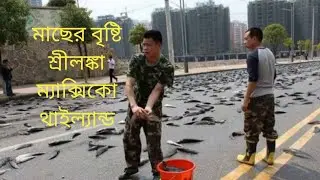 Fish rain. why is it raining fish? মাছের বৃষ্টি । কেনো হয় মাছের বৃষ্টি?