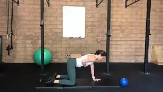 Diaphragmatic Breathing in Quadruped