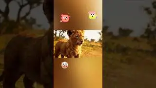 The Rise of Simba the Lion Cub #movie #shortvideo #animation