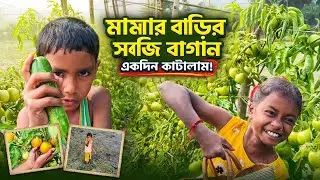 মামার বাড়ির সবজি বাগানে কাটালাম একদিন 🥒🍅 | Pure Village Vlog