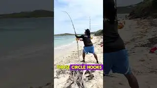 Nobody expected this at the beach 😳🐍🌊