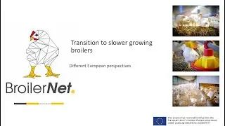 BroilerNet Webinar - Transition To Slower Growing Broilers