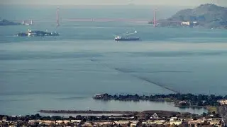 Oakland Hills Live Stream by Barry B - always online at uvnet.com