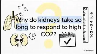 Respiratory Disorders (Step 3) | The 1-2-3-4 Rule Masterclass