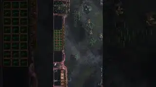 cyclone v zergling#shorts